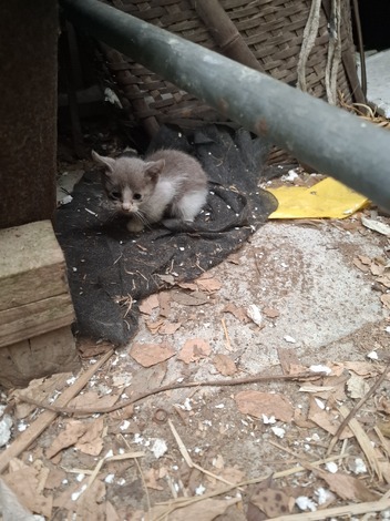 トークラウンジ