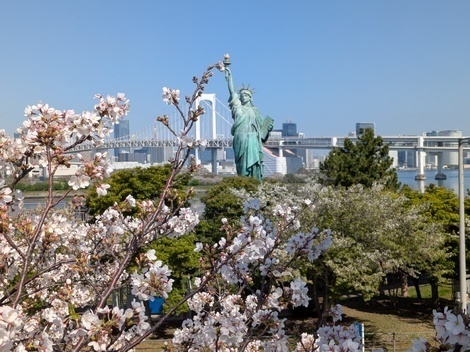 ツバメの「まいたん」応援くらぶ🐤