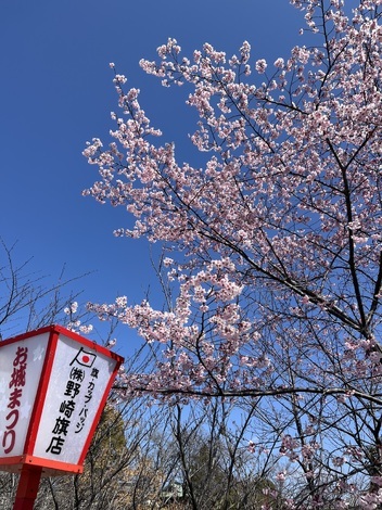 ツバメの「まいたん」応援くらぶ🐤