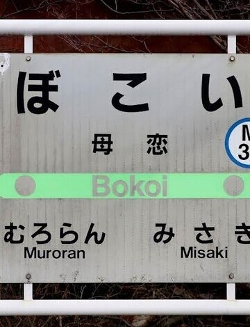 サンちゃんシーちゃんのお部屋