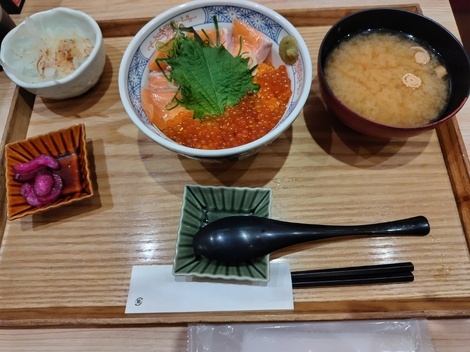 サンちゃんシーちゃんのお部屋