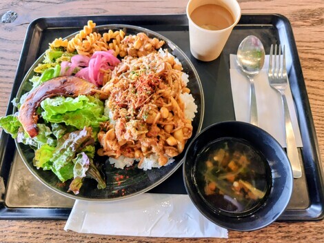 サンちゃんシーちゃんのお部屋