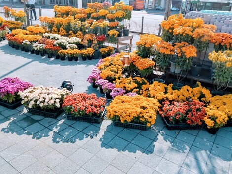 子育て共感ひろば by 宇津救命丸