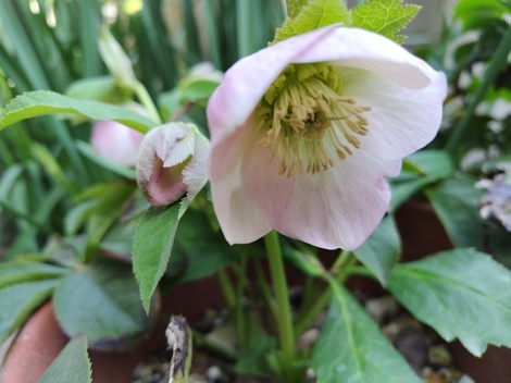 おしゃべりサロン