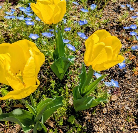 おしゃべりサロン