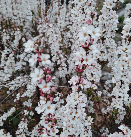 おしゃべりサロン