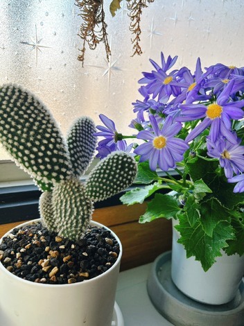 おしゃべりサロン