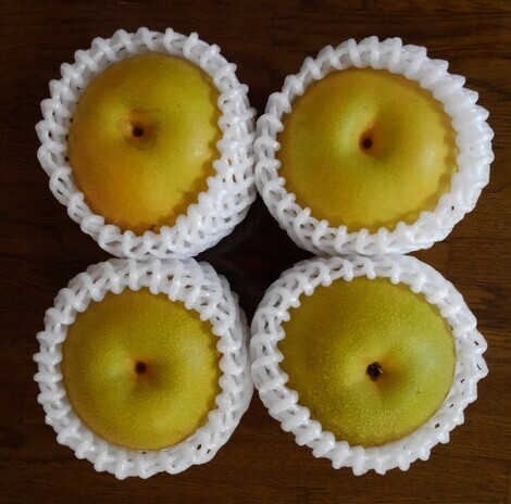 おしゃべりサロン
