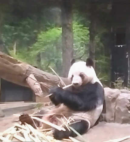 おしゃべりサロン