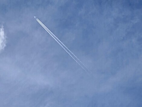 おしゃべりサロン