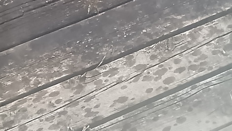 おしゃべりサロン