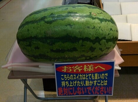おしゃべりサロン