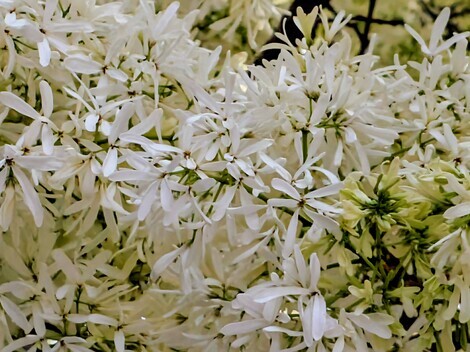 おしゃべりサロン