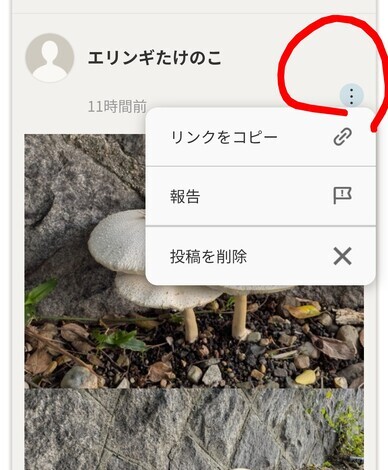 おしゃべりサロン