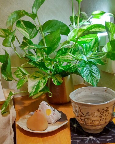 おしゃべりサロン