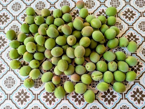 おしゃべりサロン