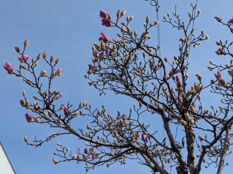 おしゃべりサロン