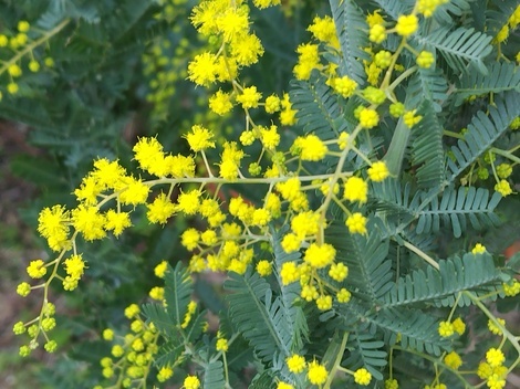 おしゃべりサロン