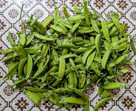 おしゃべりサロン