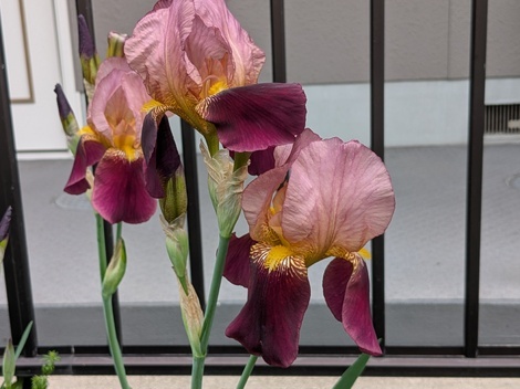 おしゃべりサロン