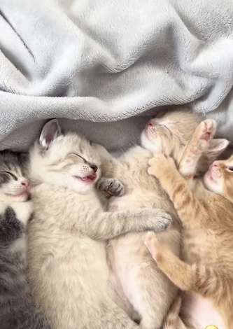 おしゃべりサロン