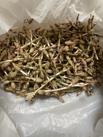 おしゃべりサロン