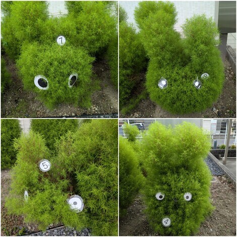 おしゃべりサロン