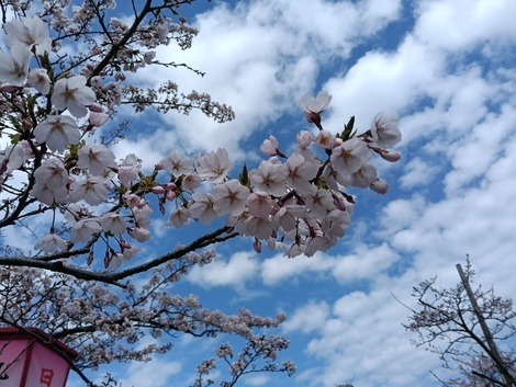 おしゃべりサロン