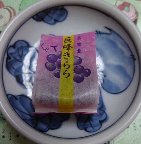 おしゃべりサロン