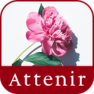 Blooming with Attenir