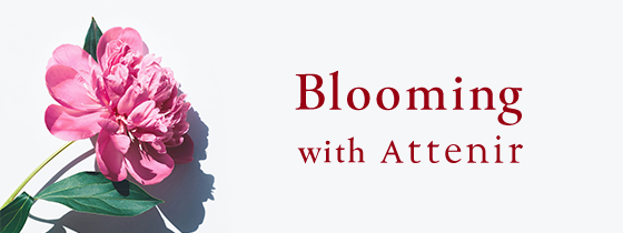 Blooming with Attenir