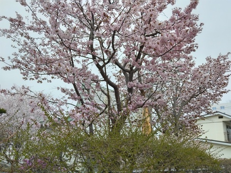 働くママの“もしも”準備室