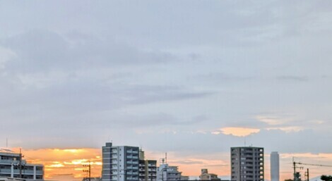 自然写真探検クラブ🗺️🌱📸