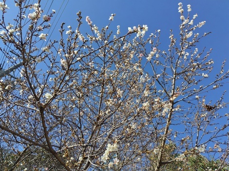 自然写真探検クラブ🗺️🌱📸