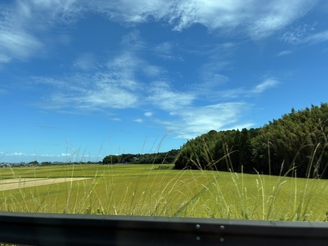 自然写真探検クラブ🗺️🌱📸