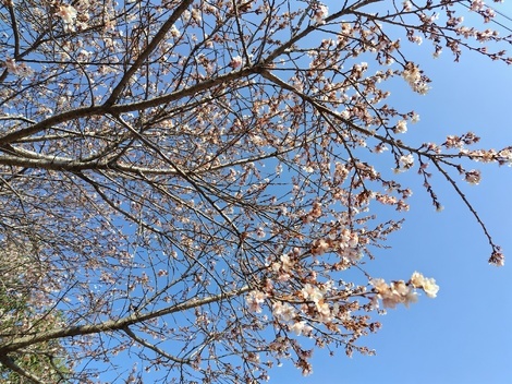 自然写真探検クラブ🗺️🌱📸