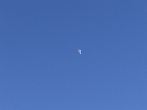 自然写真探検クラブ🗺️🌱📸