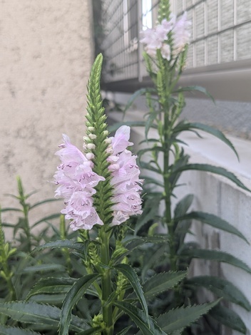 自然写真探検クラブ🗺️🌱📸