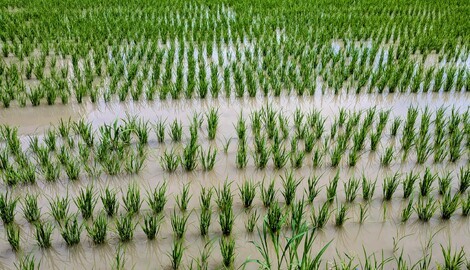 自然写真探検クラブ🗺️🌱📸