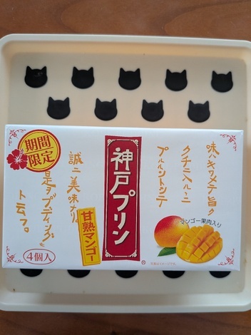 りろかる中央広場
