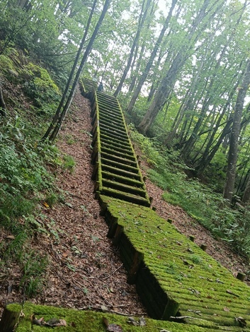 東北りろかる