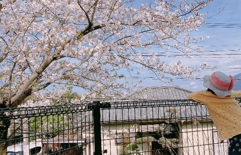 子育てのあれこれ みんなで話そう！