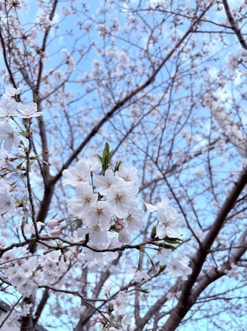 子育てのあれこれ みんなで話そう！