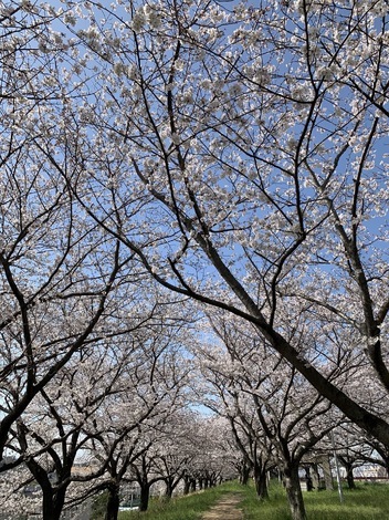 子育てのあれこれ みんなで話そう！