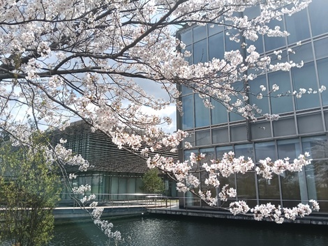 子育てのあれこれ みんなで話そう！