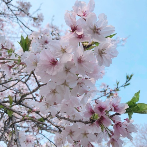 子育てのあれこれ みんなで話そう！