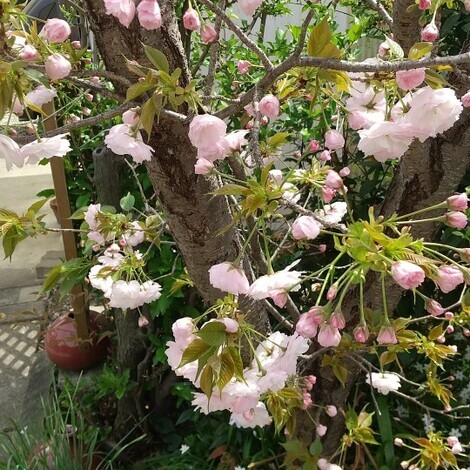 子育てのあれこれ みんなで話そう！