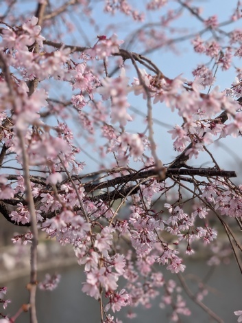 子育てのあれこれ みんなで話そう！