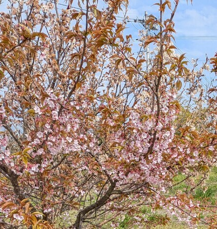 子育てのあれこれ みんなで話そう！