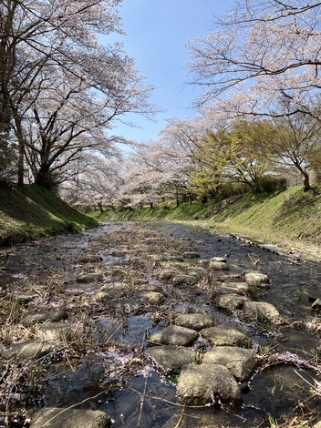 子育てのあれこれ みんなで話そう！